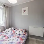 Koliber